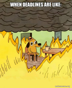 This Is Fine