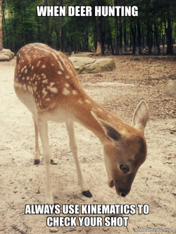 O M G Deer
