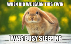 Regretful Rabbit