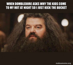 Hagrid - I should not have said that