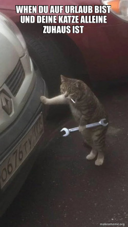 Mechanic Cat