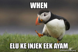 Unpopular Opinion Puffin