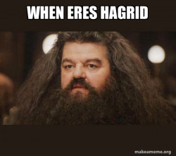 soy hagrid xdxdd :v