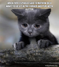 Confession Cat