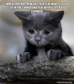 Confession Cat