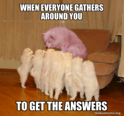 Malicious Storytelling Dog