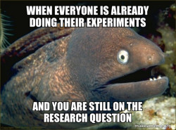 Bad Joke Eel