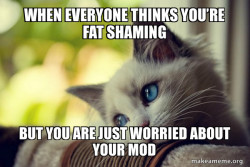 First World Cat Problems