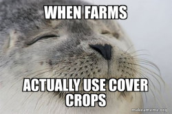 Satisfied Seal