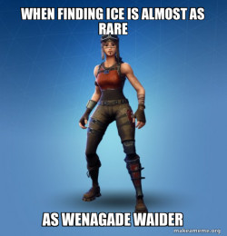 Renegade Raider Fortnite Skin