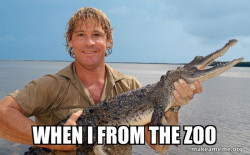 Steve irwin