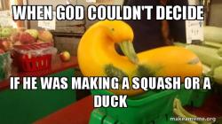 Gourd Advice Mallard