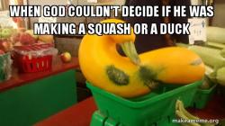 Gourd Advice Mallard