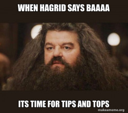 Hagrid - I should not have said that