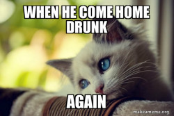First World Cat Problems