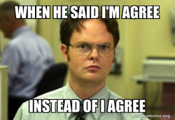Schrute Facts (Dwight Schrute from The Office)