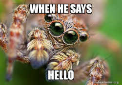 Hipster Spider