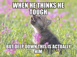 Baby Insanity Wolf