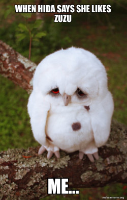 Sad Owl