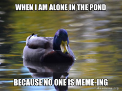 Zen Advice Mallard
