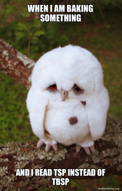 Sad Owl