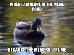 Zen Advice Mallard