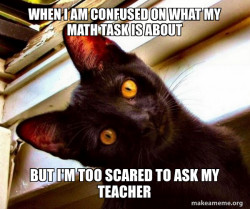 Overly Attached Cat