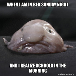 Blobfish