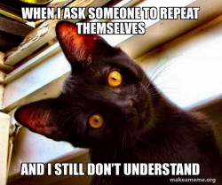 Overly Attached Cat
