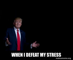 Trump Everything is FIne