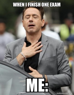 Tony Stark Relief