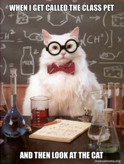 Chemistry Cat