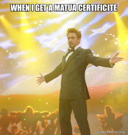 Tony Stark Success
