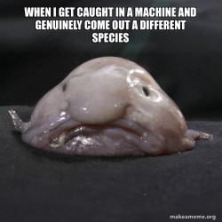 Blobfish