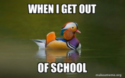 Fashionable Advice Mallard