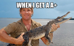 Steve irwin