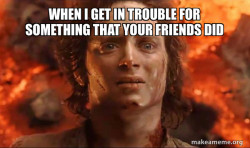 Frodo it's over it's done