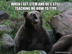 Sarcastic Bear