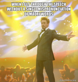 Tony Stark Success