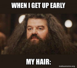 Hagrid - I should not have said that