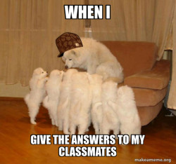 Scumbag Storytelling Dog