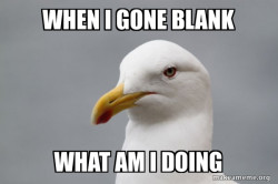 Stuff That Didn't Happen Seagull