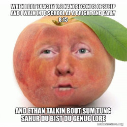 Impeached Donald Trump