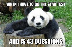 Confession Panda