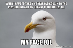 Stuff That Didn't Happen Seagull