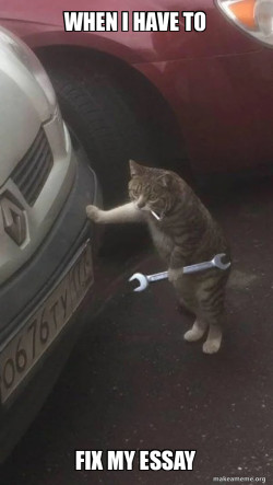 Mechanic Cat