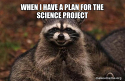 Evil Plotting Raccoon