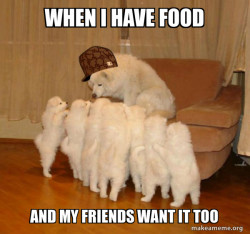 Scumbag Storytelling Dog