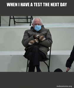 Bernie Sanders at the Inauguration