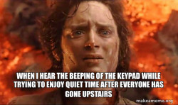 Frodo it's over it's done